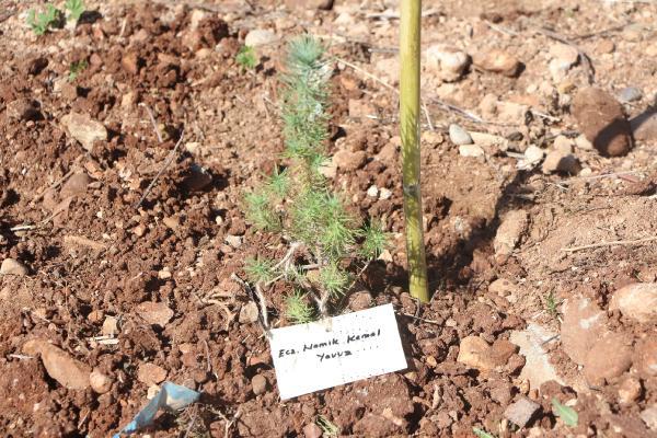 Salgından yaşamını yitiren 380 sağlık çalışanının isimleri Adana'da yaşatılacak