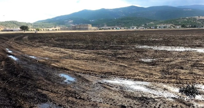 200 dekarlık buğday tarlası kül oldu