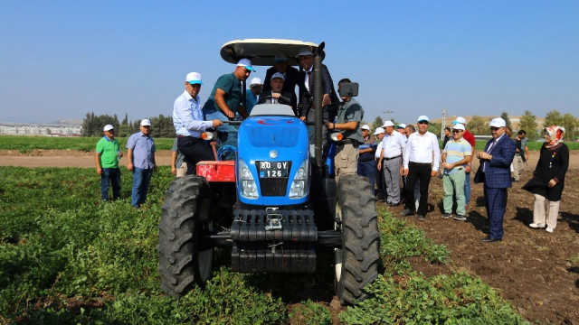 Osmaniye'de 47 Bin 933 Ton Yerfıstığı Rekoltesi Bekleniyor!