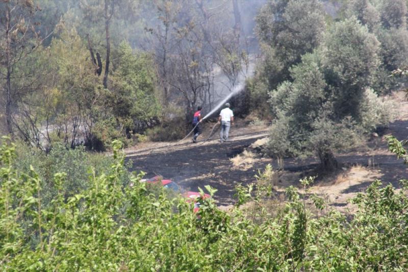 Tarlada çıkan anız yangını kontrol altına alındı